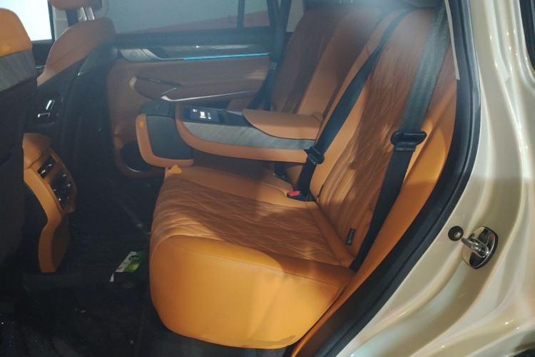 Used Tank 500 2022 3.0T Sport Edition "Creation" Version 5-Seater Left Rear Seat