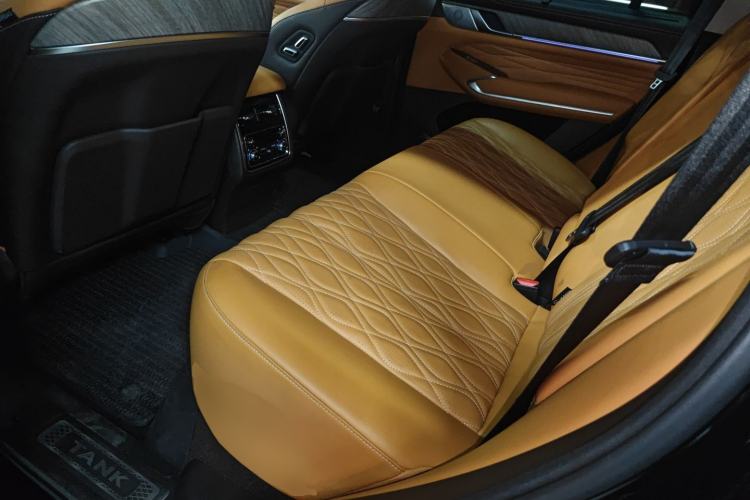 Used Tank 500 2022 3.0T Sport Edition "Creation" Version 5-Seater Left Rear Seat