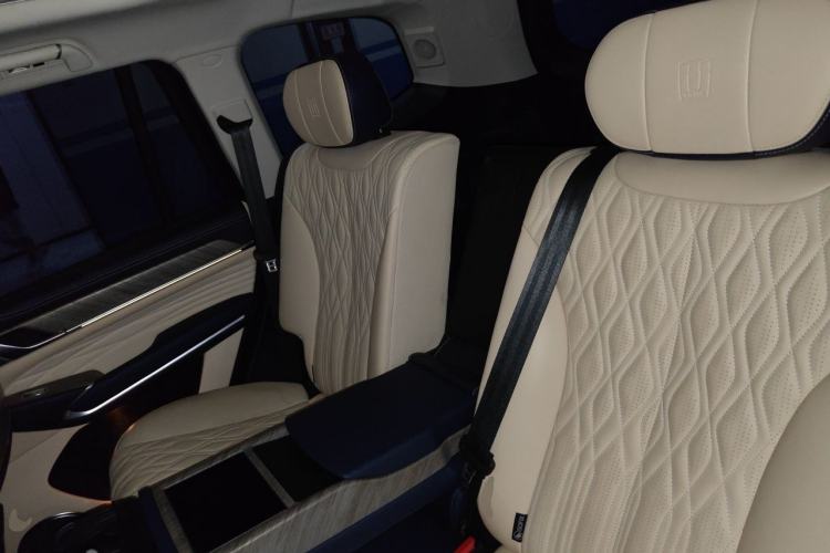 Used Tank 500 2022 3.0T Business Edition "Creation Realm" Design 5-Seater Left Rear Seat