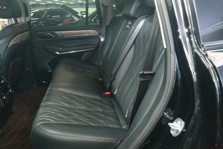 Used Tank 500 2022 3.0T Black Warrior Limited Edition 5 Seats Left Rear Seat