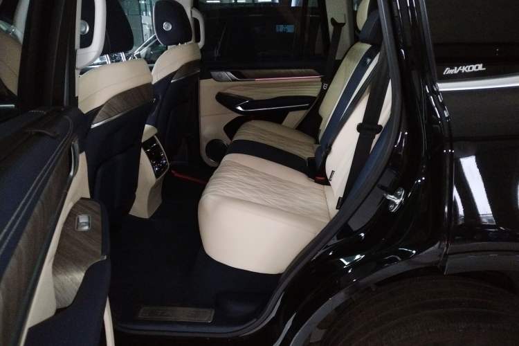 Used Tank 500 2022 3.0T Sport Edition "Creation" Version 5-Seater Left Rear Seat