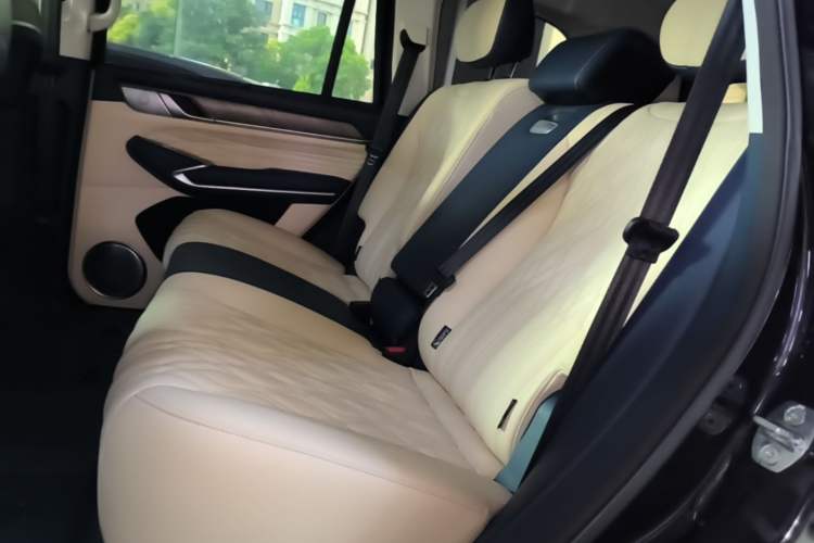 Used Tank 500 2022 3.0T Business Edition "Creation Realm" Design 5-Seater Left Rear Seat