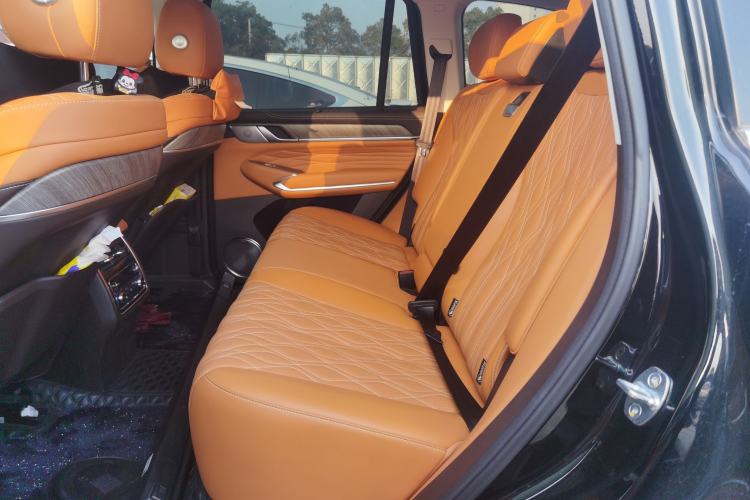 Used Tank 500 2022 3.0T Business Edition "Creation Realm" Design 5-Seater Left Rear Seat