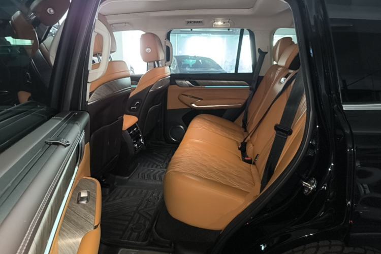 Used Tank 500 2022 3.0T Sport Edition "Creation" Version 5-Seater Left Rear Seat