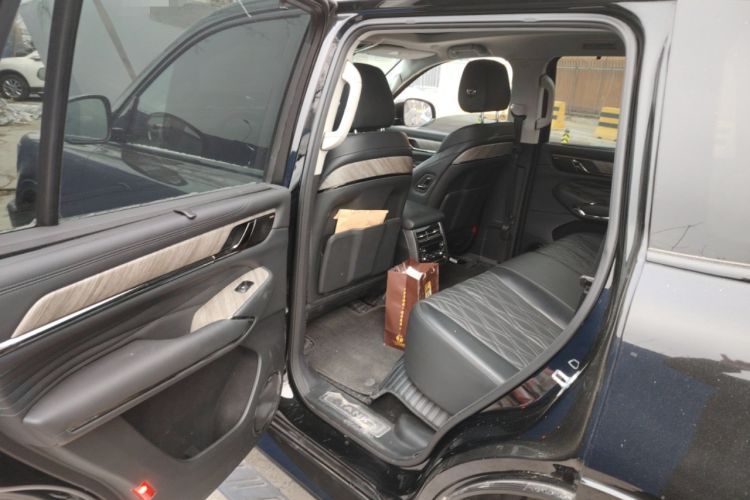 Used Tank 500 2022 3.0T Black Warrior Limited Edition 5 Seats Left Rear Seat