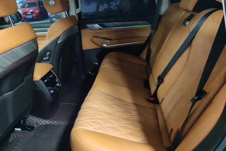 Used Tank 500 2022 3.0T Sport Edition "Creation" Version 5-Seater Left Rear Seat