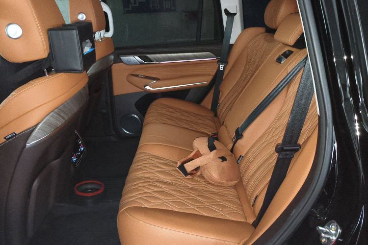 Used Tank 500 2022 3.0T Business Edition "Creation Realm" Design 5-Seater Left Rear Seat