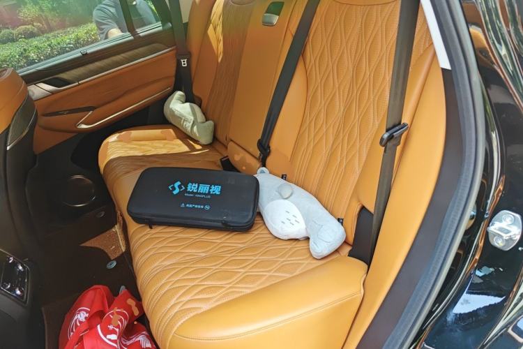 Used Tank 500 2022 3.0T Sport Edition "Creation" Version 5-Seater Left Rear Seat