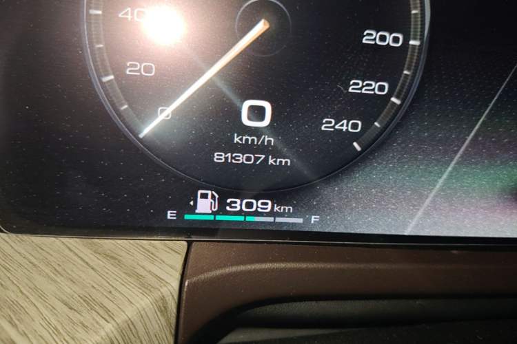 Used Tank 500 2022 3.0T Sport Edition "Creation" Version 5-Seater Odometer Close Up