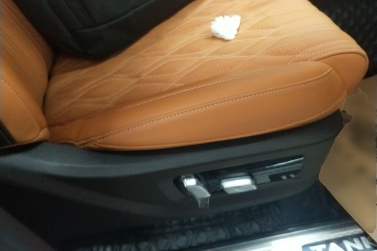 Used Tank 500 2022 3.0T Business Edition "Creation Realm" Design 5-Seater Right Front Seat