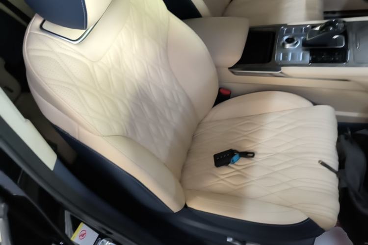 Used Tank 500 2022 3.0T Business Edition "Creation Realm" Design 5-Seater Right Front Seat