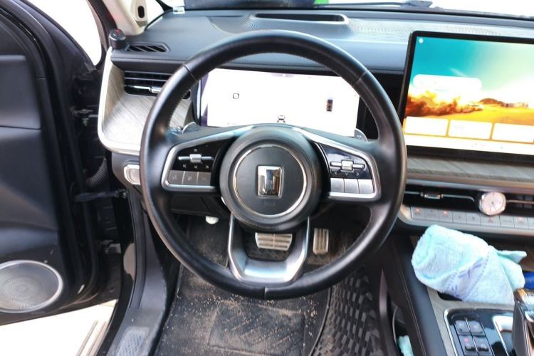 Used Tank 500 2022 3.0T Sport Edition "Creation" Version 5-Seater Steering Wheel