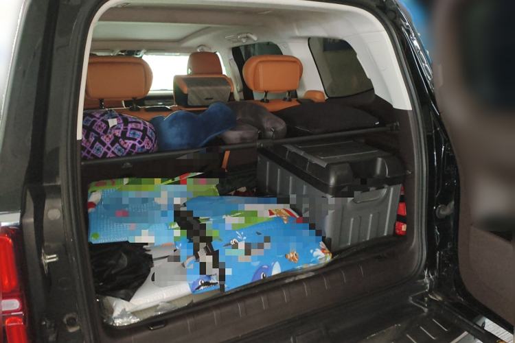 Used Tank 500 2022 3.0T Business Edition "Creation Realm" Design 5-Seater Trunk