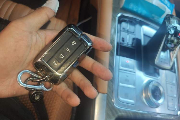 Used Tank 500 2022 3.0T Sport Edition "Creation" Version 5-Seater Vehicle Key