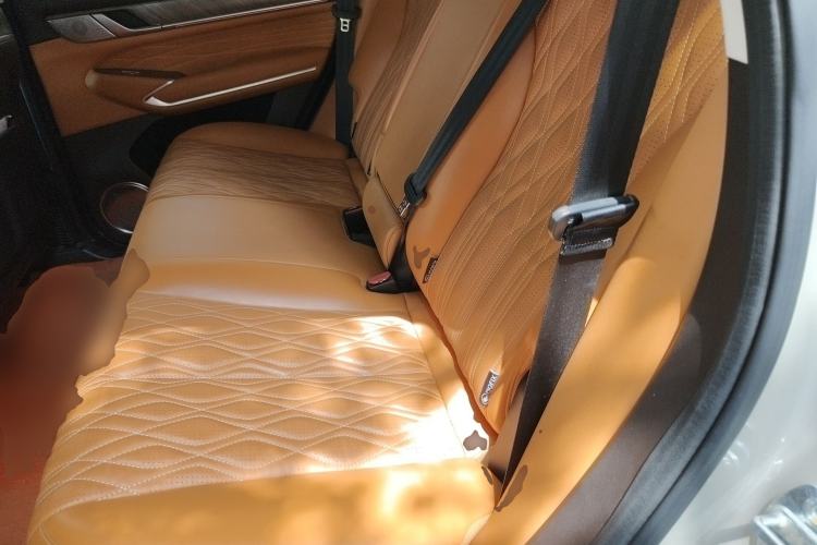 Used Tank 500 2022 3.0T Business Edition "Creation Realm" Design 5-Seater Left Rear Seat