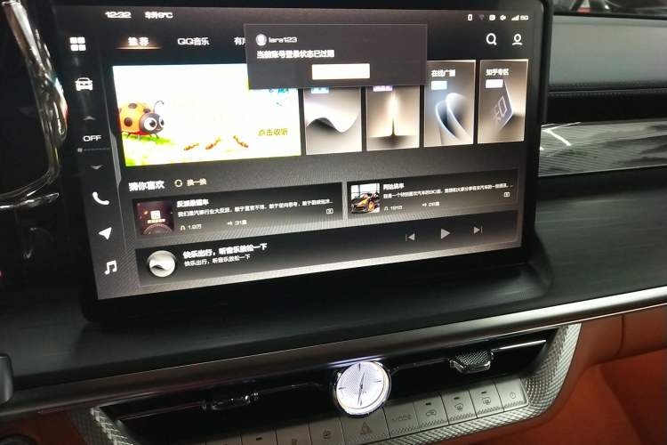 Used Tank 500 2022 3.0T High-End Custom Edition 5 Seats Audio And AC Panel