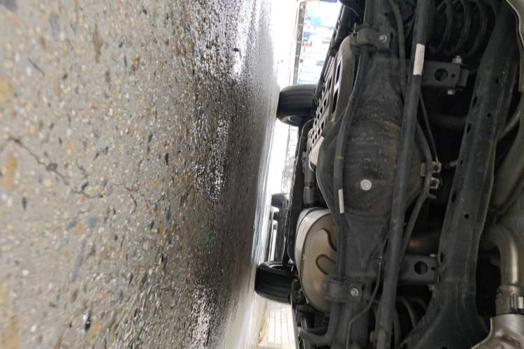 Used Tank 500 2022 3.0T Sport Edition "Creation" Version 5-Seater Chassis Rear