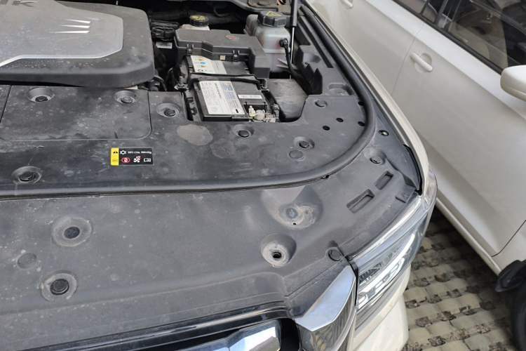Used Tank 500 2022 3.0T Sport Edition "Creation" Version 5-Seater Engine Bay Left