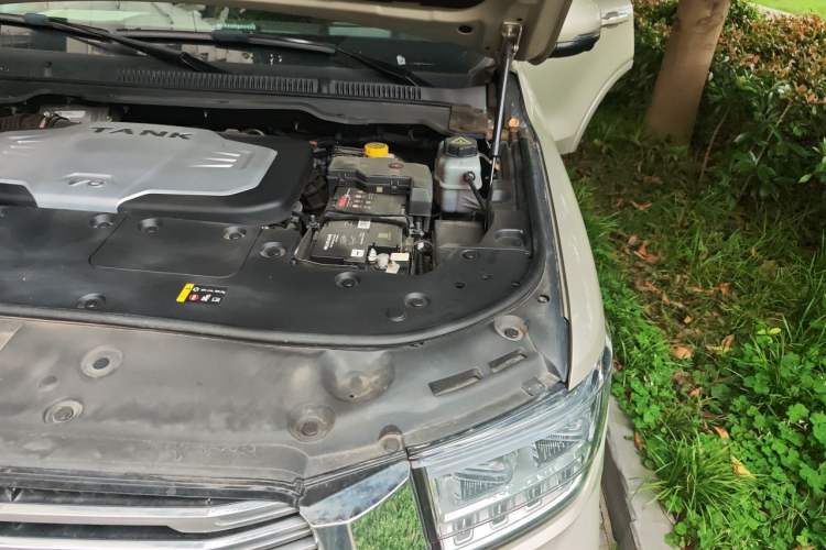 Used Tank 500 2022 3.0T Business Edition "Creation Realm" Design 5-Seater Engine Bay Left