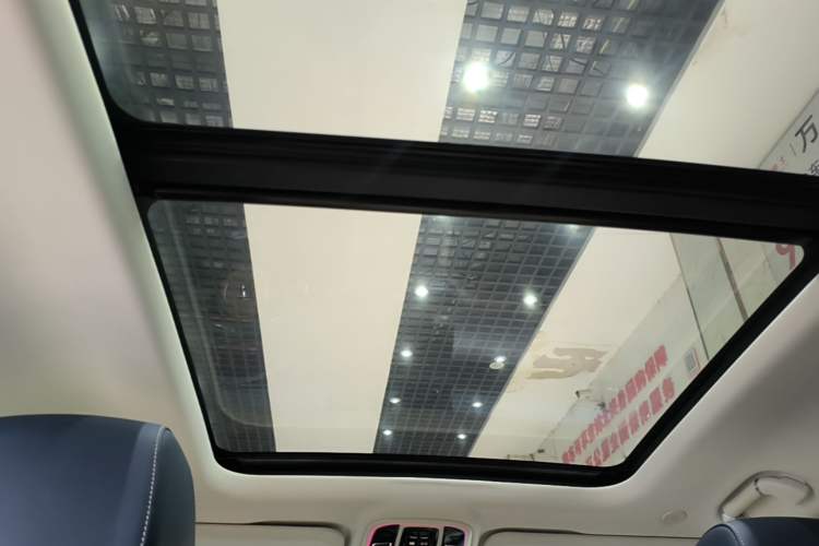Used Tank 500 2022 3.0T Sport Edition "Creation" Version 5-Seater Headliner