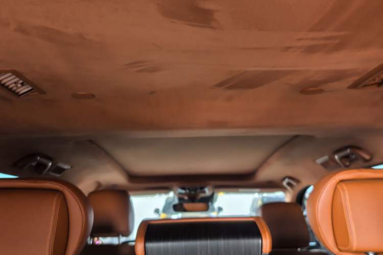 Used Tank 500 2022 3.0T High-End Custom Edition 5 Seats Headliner