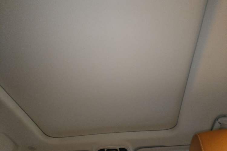 Used Tank 500 2022 3.0T Business Edition "Creation Realm" Design 5-Seater Headliner