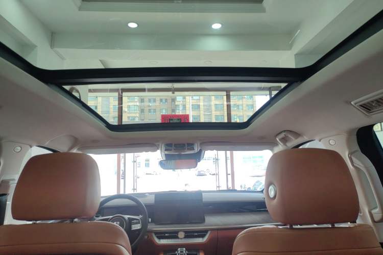 Used Tank 500 2022 3.0T Business Edition "Creation Realm" Design 5-Seater Headliner