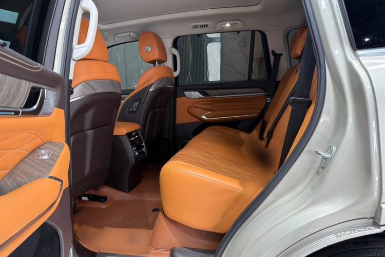 Used Tank 500 2022 3.0T Sport Edition "Creation" Version 5-Seater Interior 3