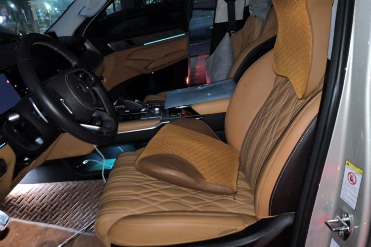 Used Tank 500 2022 3.0T Sport Edition "Creation" Version 5-Seater Left Front Seat