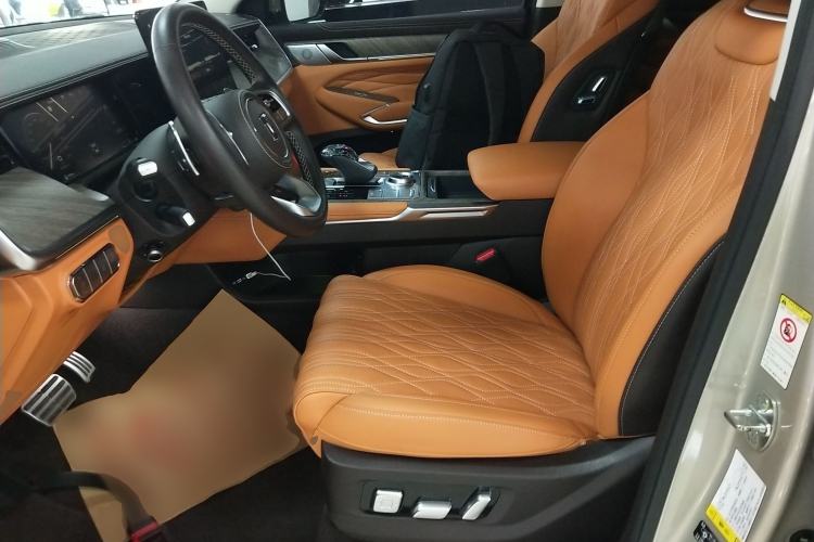 Used Tank 500 2022 3.0T Business Edition "Creation Realm" Design 5-Seater Left Front Seat