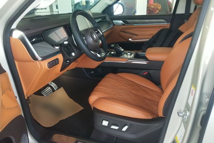 Used Tank 500 2022 3.0T Business Edition "Creation Realm" Design 5-Seater Left Front Seat