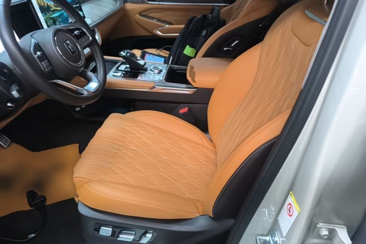 Used Tank 500 2022 3.0T Business Edition "Creation Realm" Design 5-Seater Left Front Seat
