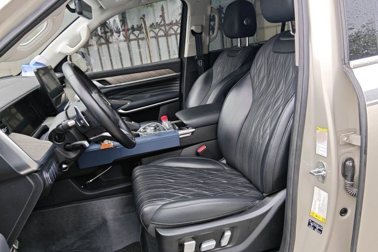 Used Tank 500 2022 3.0T Sport Edition "Creation" Version 5-Seater Left Front Seat