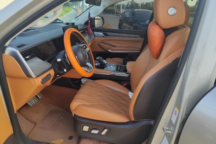 Used Tank 500 2022 3.0T Business Edition "Creation Realm" Design 5-Seater Left Front Seat