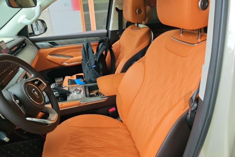 Used Tank 500 2022 3.0T Business Edition "Creation Realm" Design 5-Seater Left Front Seat
