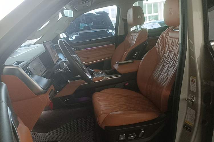 Used Tank 500 2022 3.0T Business Edition "Creation Realm" Design 5-Seater Left Front Seat