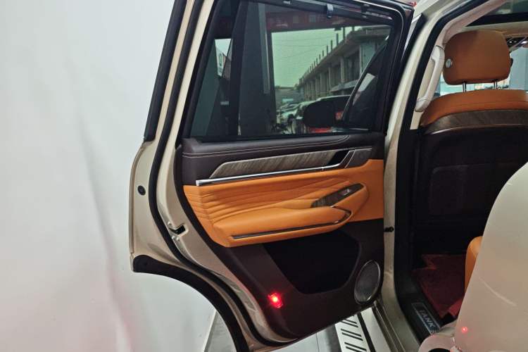 Used Tank 500 2022 3.0T Business Edition "Creation Realm" Design 5-Seater Left Rear Door Interior