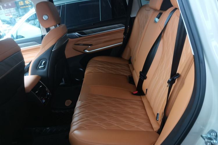 Used Tank 500 2022 3.0T Business Edition "Creation Realm" Design 5-Seater Left Rear Seat