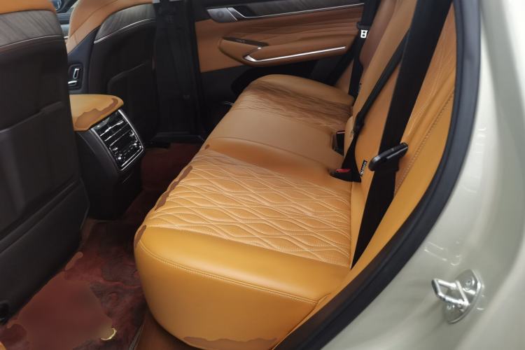 Used Tank 500 2022 3.0T Business Edition "Creation Realm" Design 5-Seater Left Rear Seat