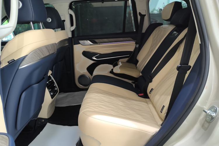 Used Tank 500 2022 3.0T Sport Edition "Creation" Version 5-Seater Left Rear Seat