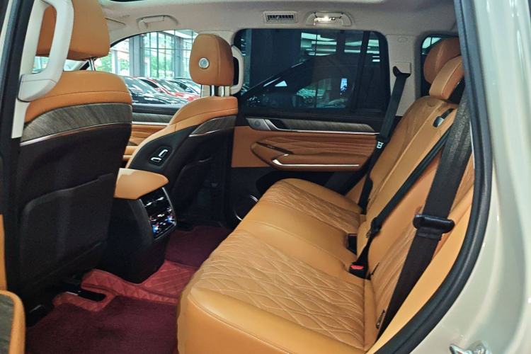 Used Tank 500 2022 3.0T Business Edition "Creation Realm" Design 5-Seater Left Rear Seat