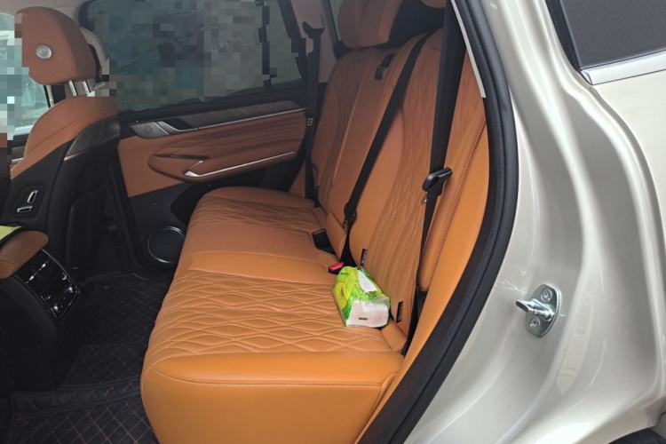Used Tank 500 2022 3.0T Business Edition "Creation Realm" Design 5-Seater Left Rear Seat
