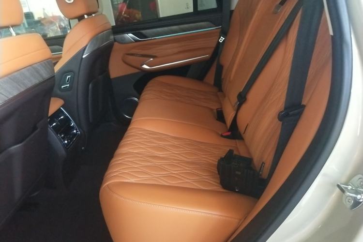 Used Tank 500 2022 3.0T Business Edition "Creation Realm" Design 5-Seater Left Rear Seat