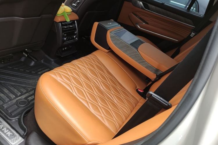Used Tank 500 2022 3.0T Business Edition "Creation Realm" Design 5-Seater Left Rear Seat