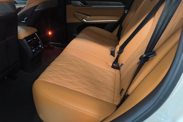 Used Tank 500 2022 3.0T Business Edition "Creation Realm" Design 5-Seater Left Rear Seat