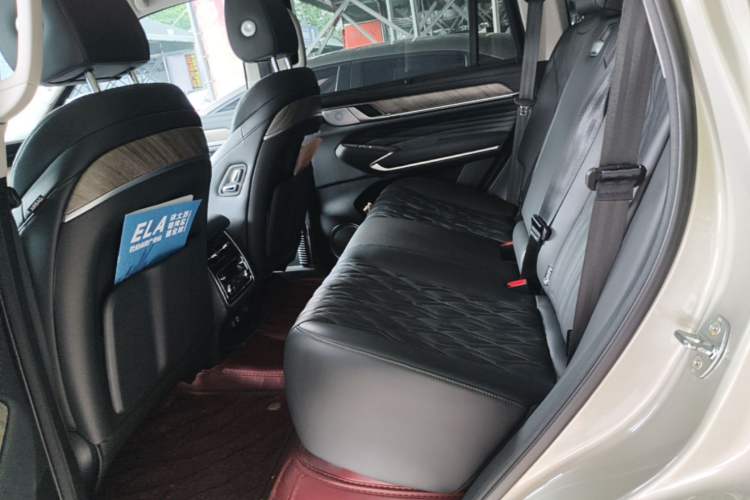 Used Tank 500 2022 3.0T Sport Edition "Creation" Version 5-Seater Left Rear Seat
