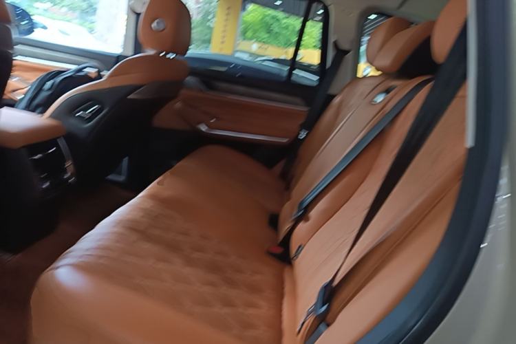 Used Tank 500 2022 3.0T Sport Edition "Creation" Version 5-Seater Left Rear Seat