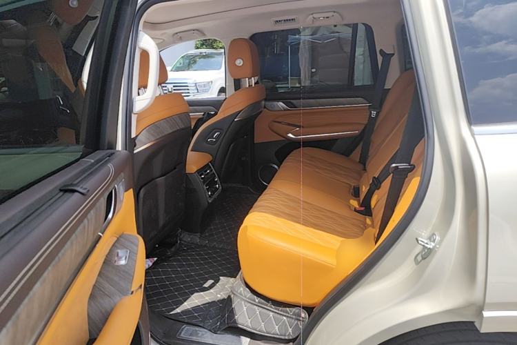 Used Tank 500 2022 3.0T Business Edition "Creation Realm" Design 5-Seater Left Rear Seat