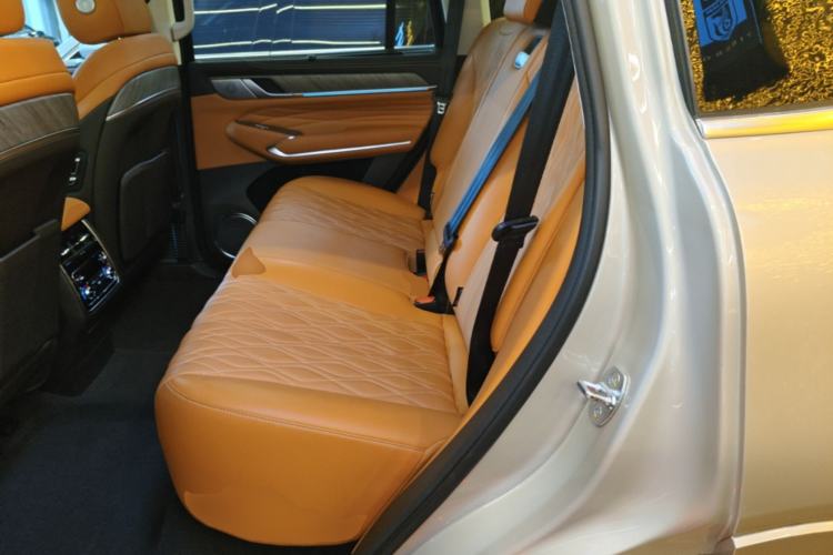 Used Tank 500 2022 3.0T Business Edition "Creation Realm" Design 5-Seater Left Rear Seat