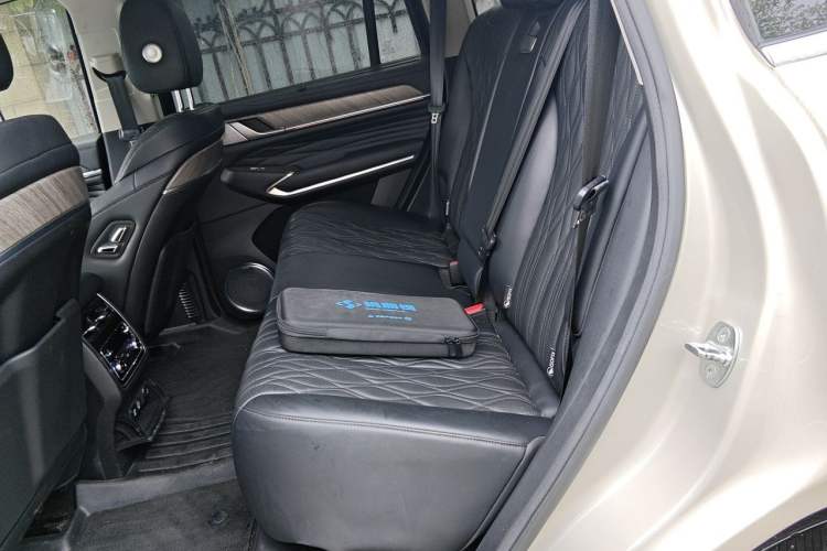 Used Tank 500 2022 3.0T Sport Edition "Creation" Version 5-Seater Left Rear Seat